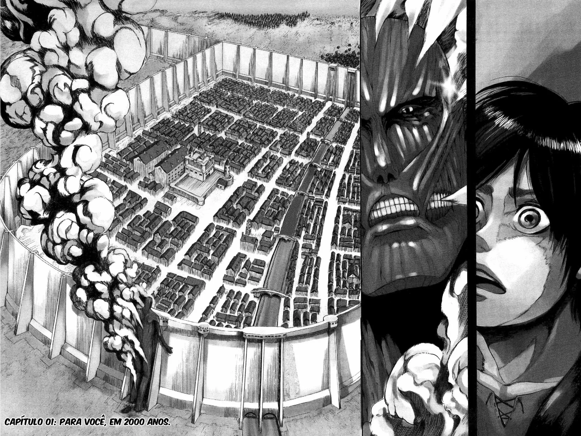 Read Attack on Titan BR Manga Online