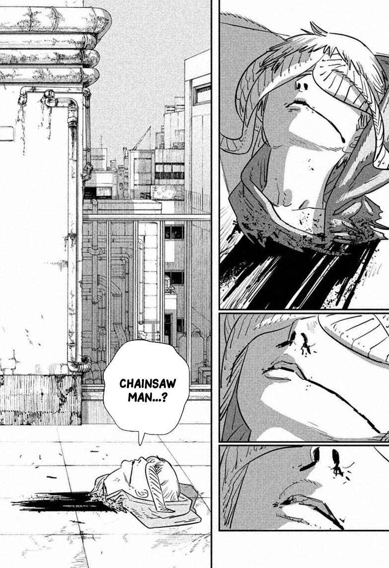 Read Chainsaw Man BR Manga Online
