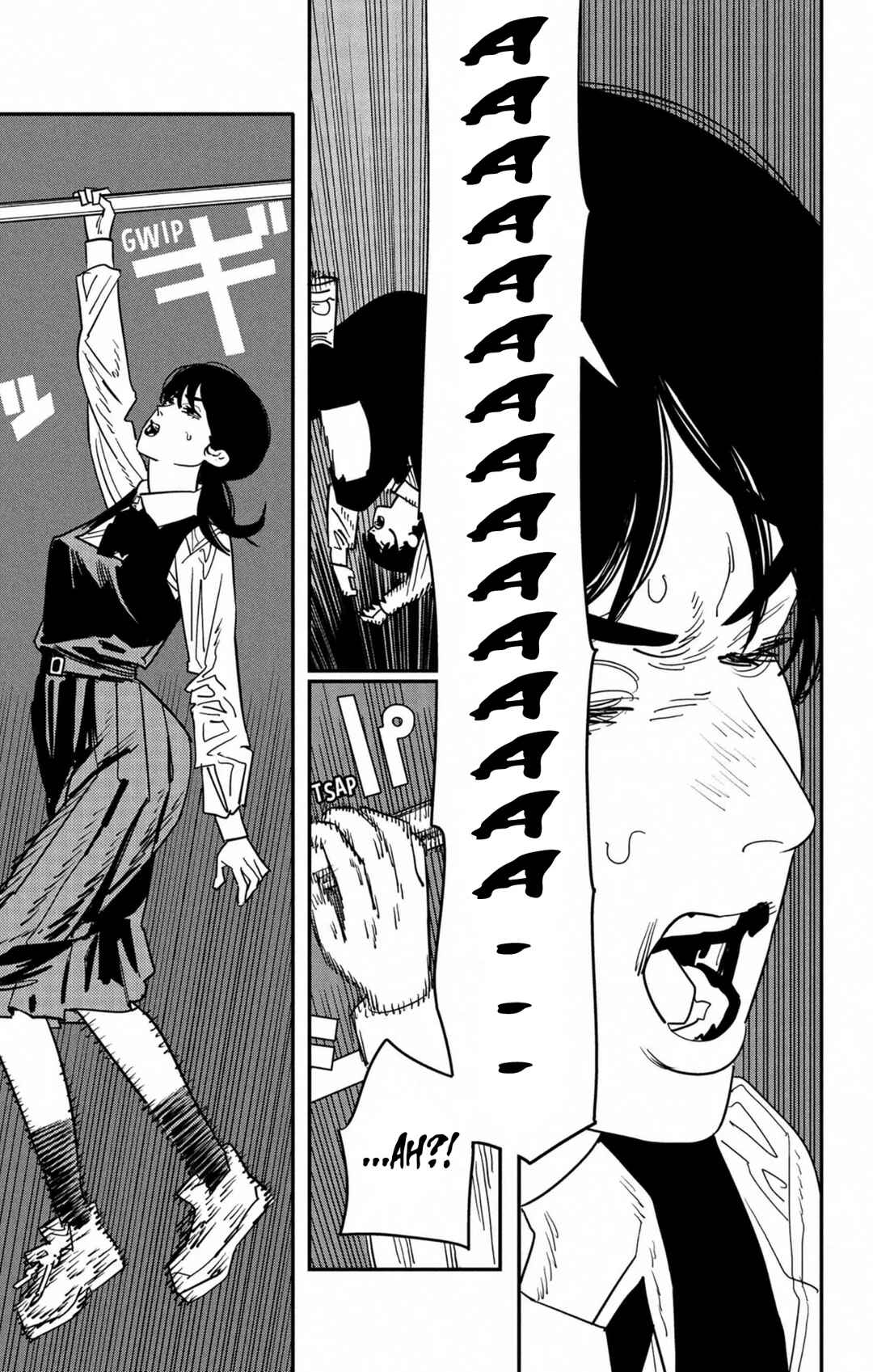 Read Chainsaw Man BR Manga Online