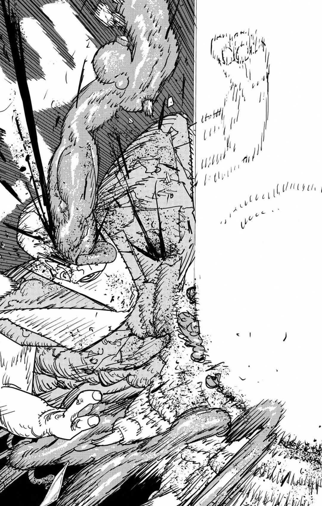 Read Chainsaw Man BR Manga Online