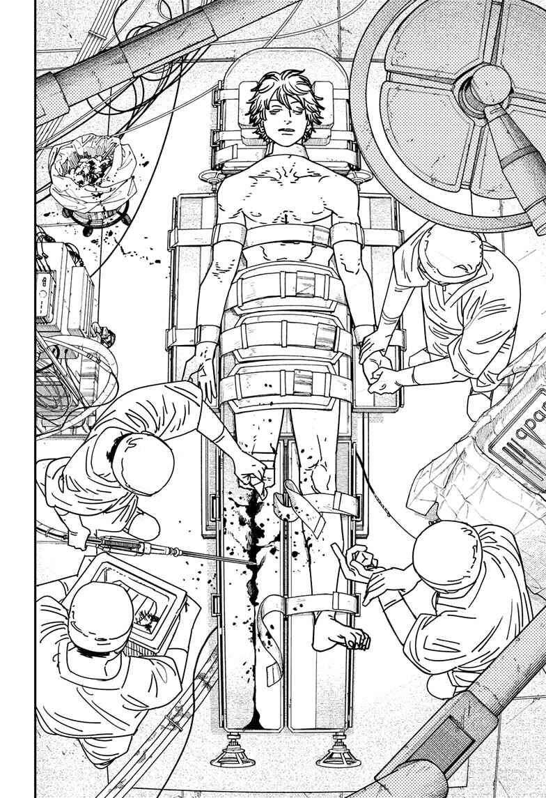 Read Chainsaw Man BR Manga Online