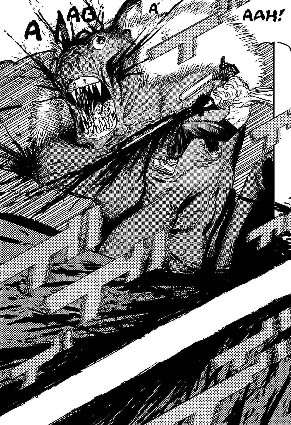 Read Chainsaw Man BR Manga Online