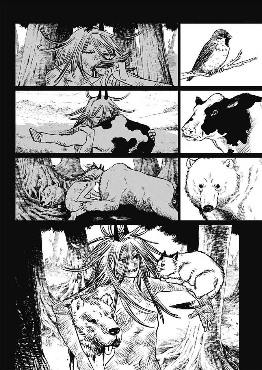 Read Chainsaw Man BR Manga Online