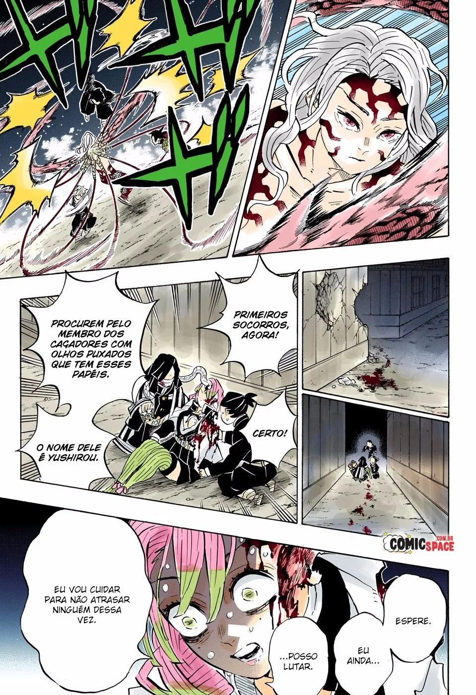 Read Kimetsu no Yaiba BR Manga Online