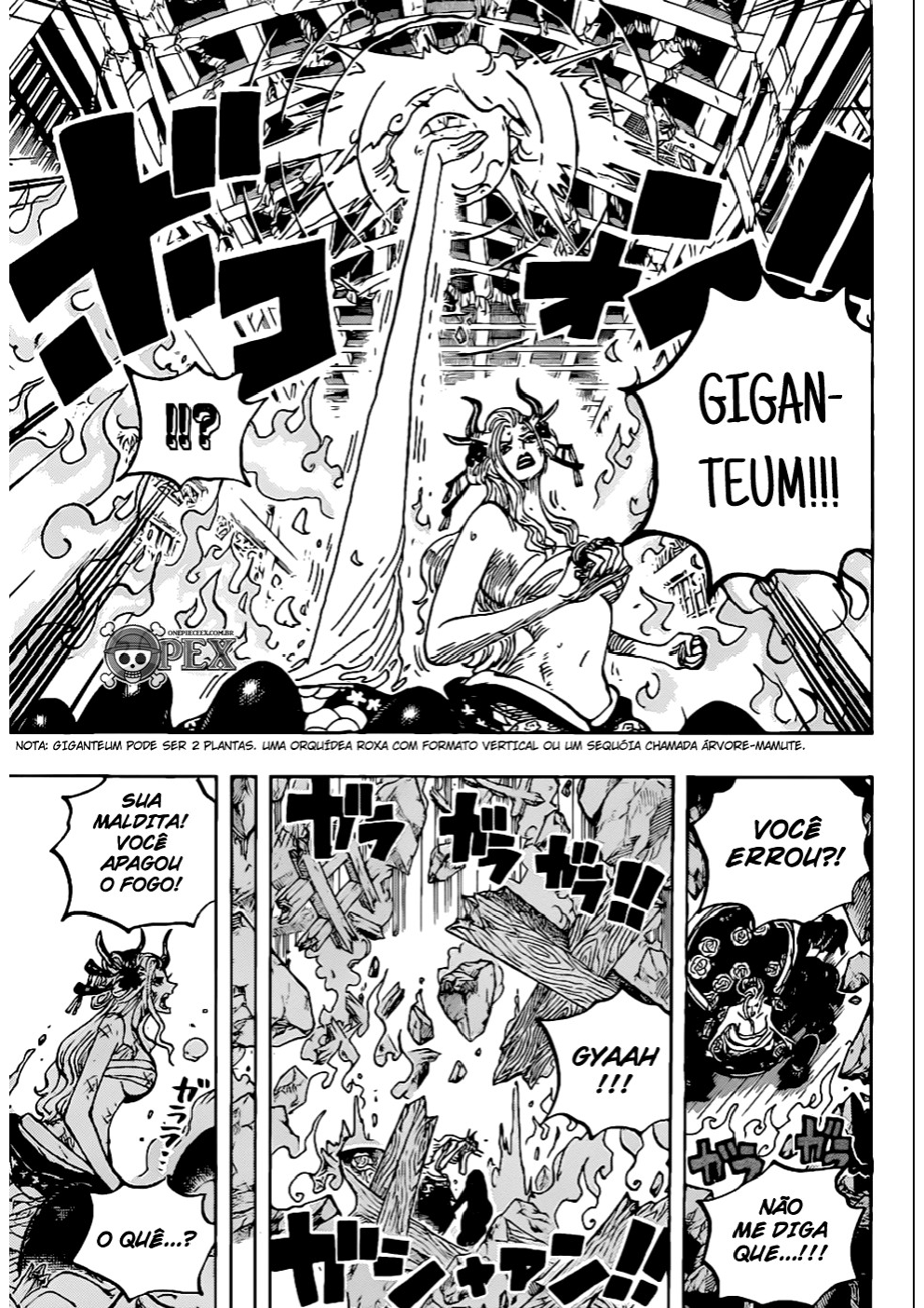 Read One Piece BR Manga Online
