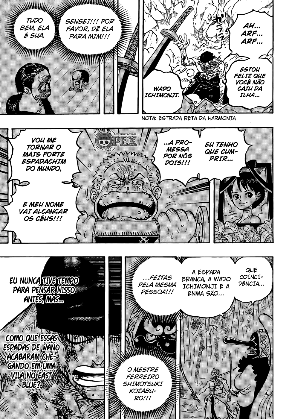 Read One Piece BR Manga Online