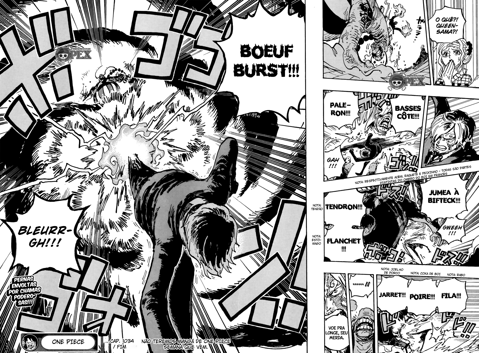 Read One Piece BR Manga Online