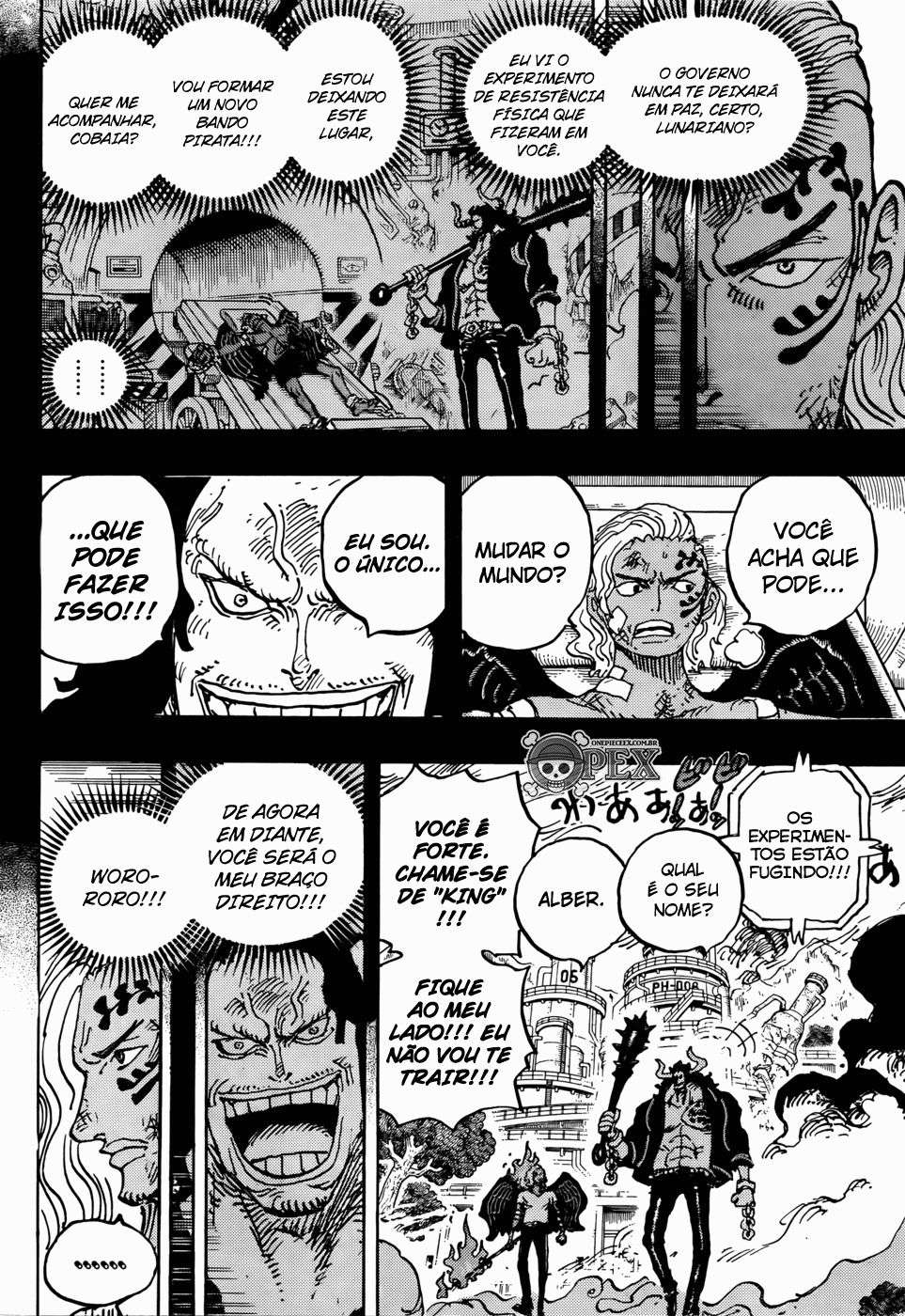 Read One Piece BR Manga Online