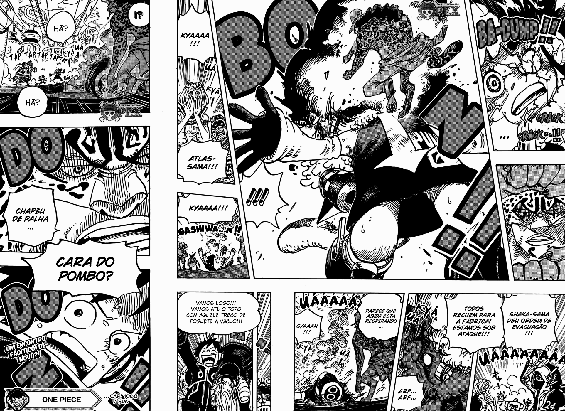 Read One Piece BR Manga Online