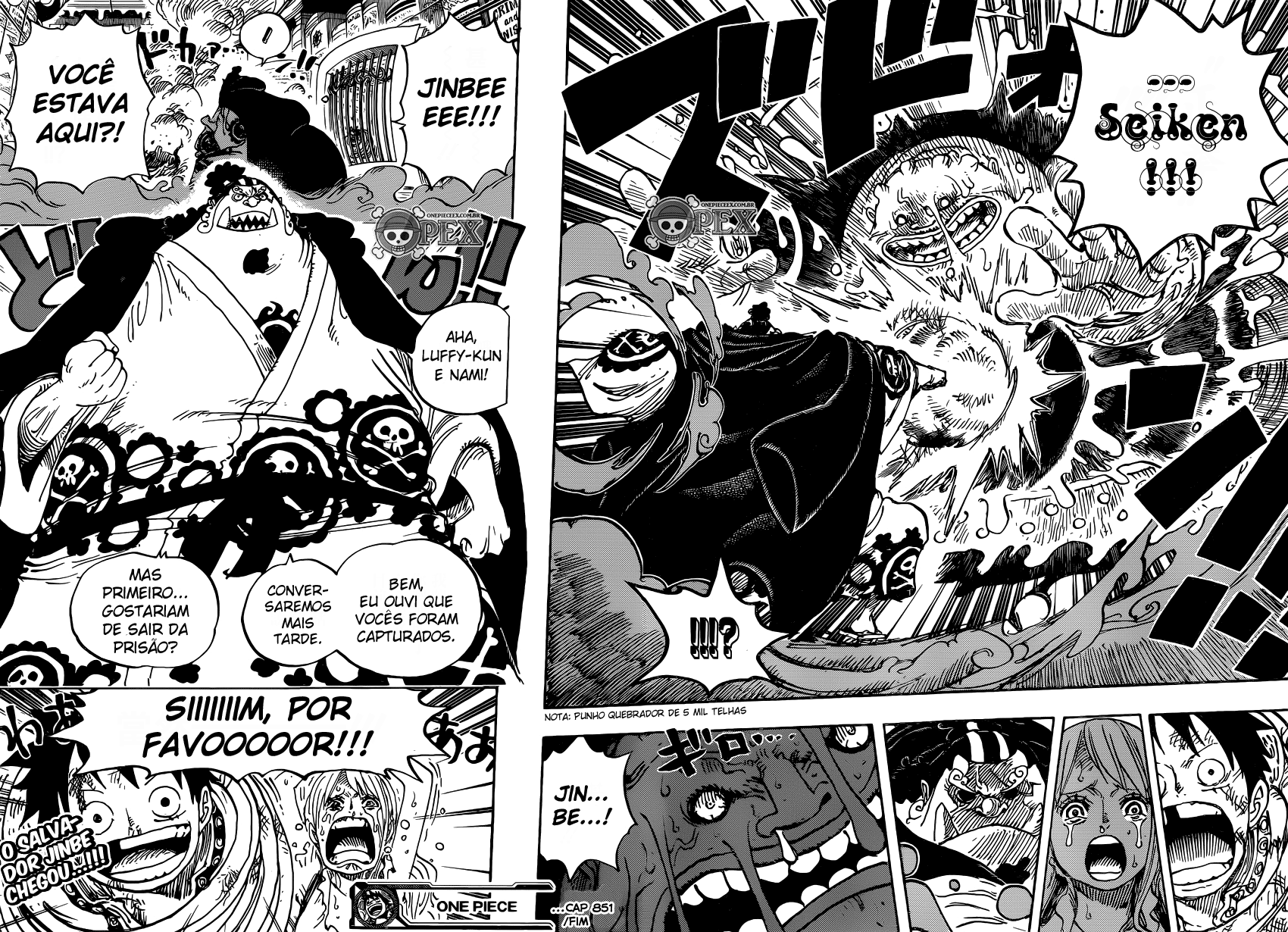 Read One Piece BR Manga Online