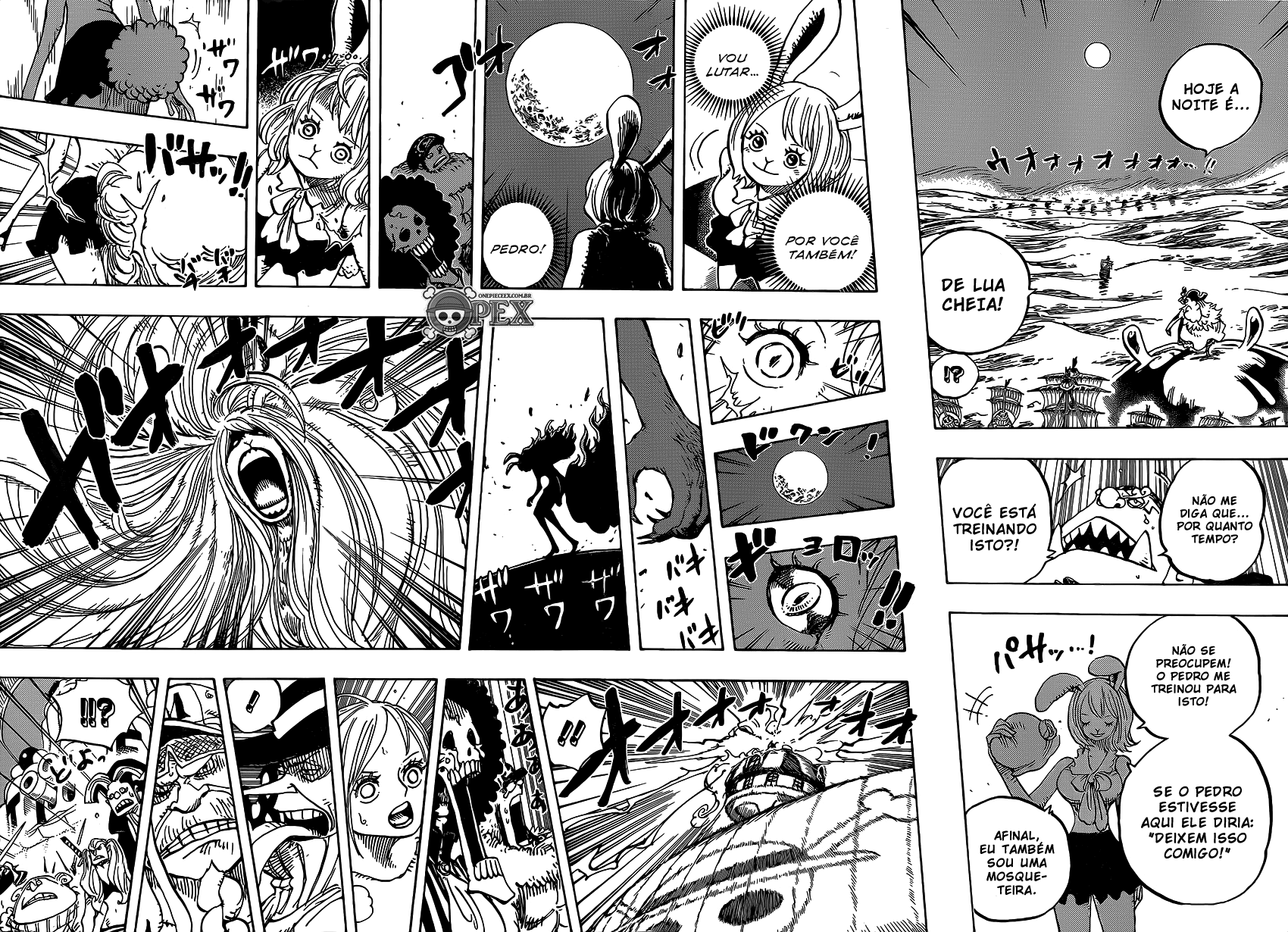 Read One Piece BR Manga Online