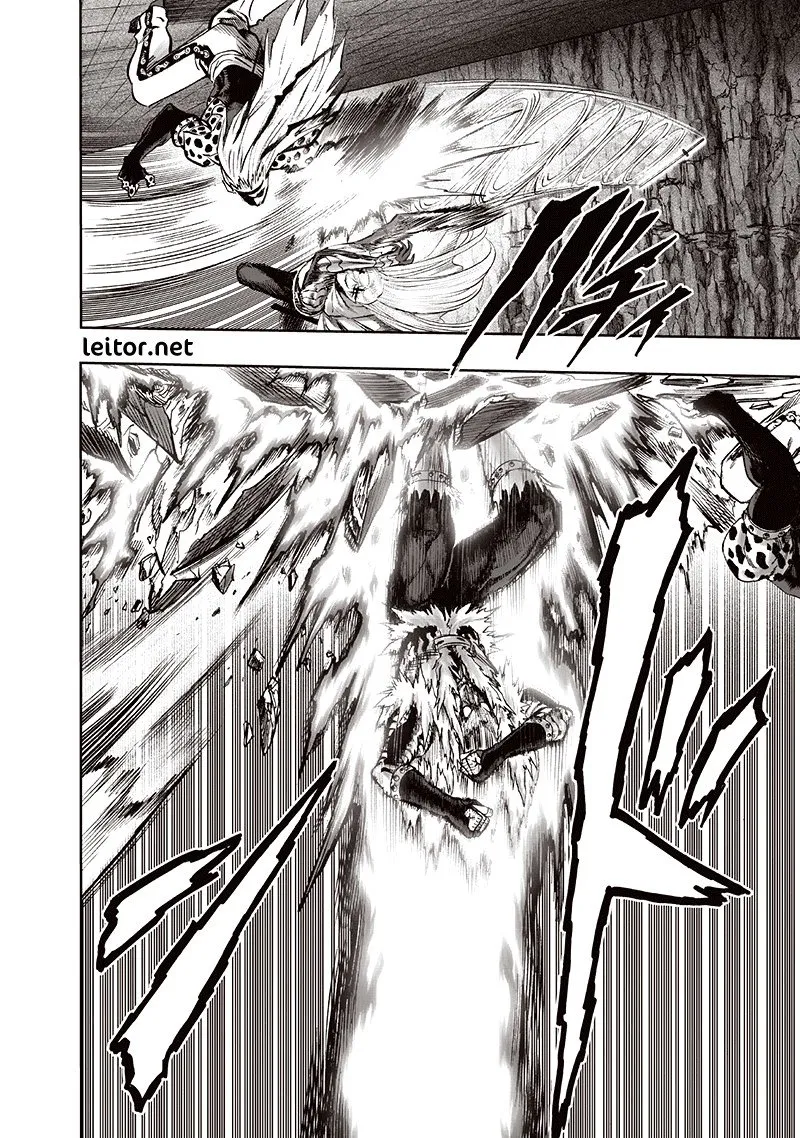 Read One Punch Man BR Manga Online