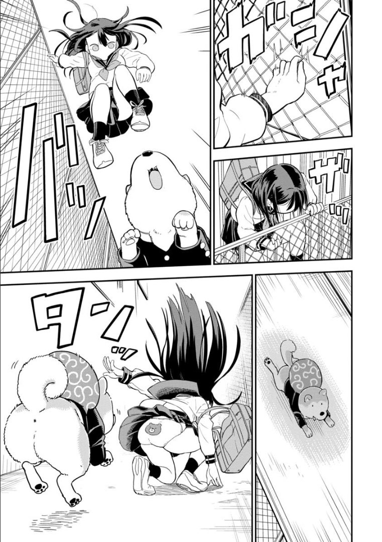 Read A Wolf Cannot Win to Hayakawa Manga Online