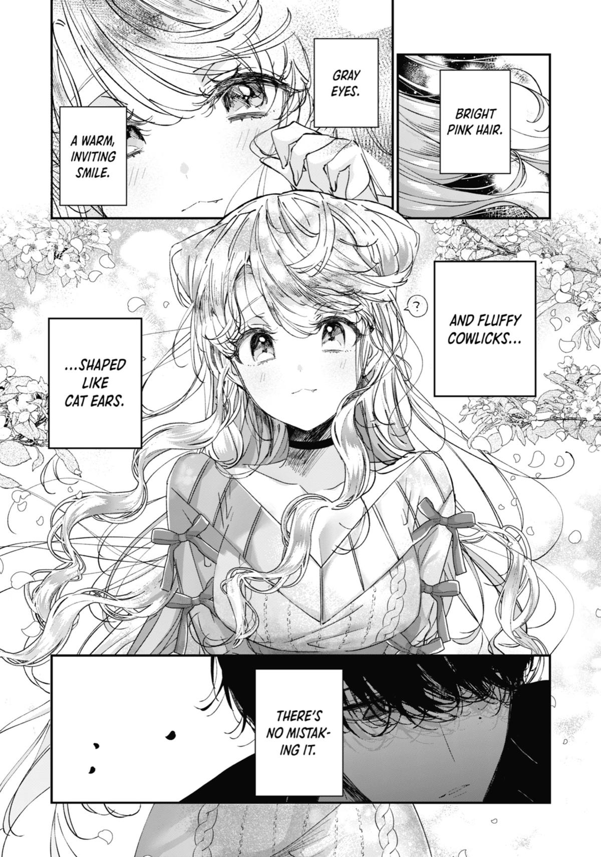 Read Assassin & Cinderella Manga Online