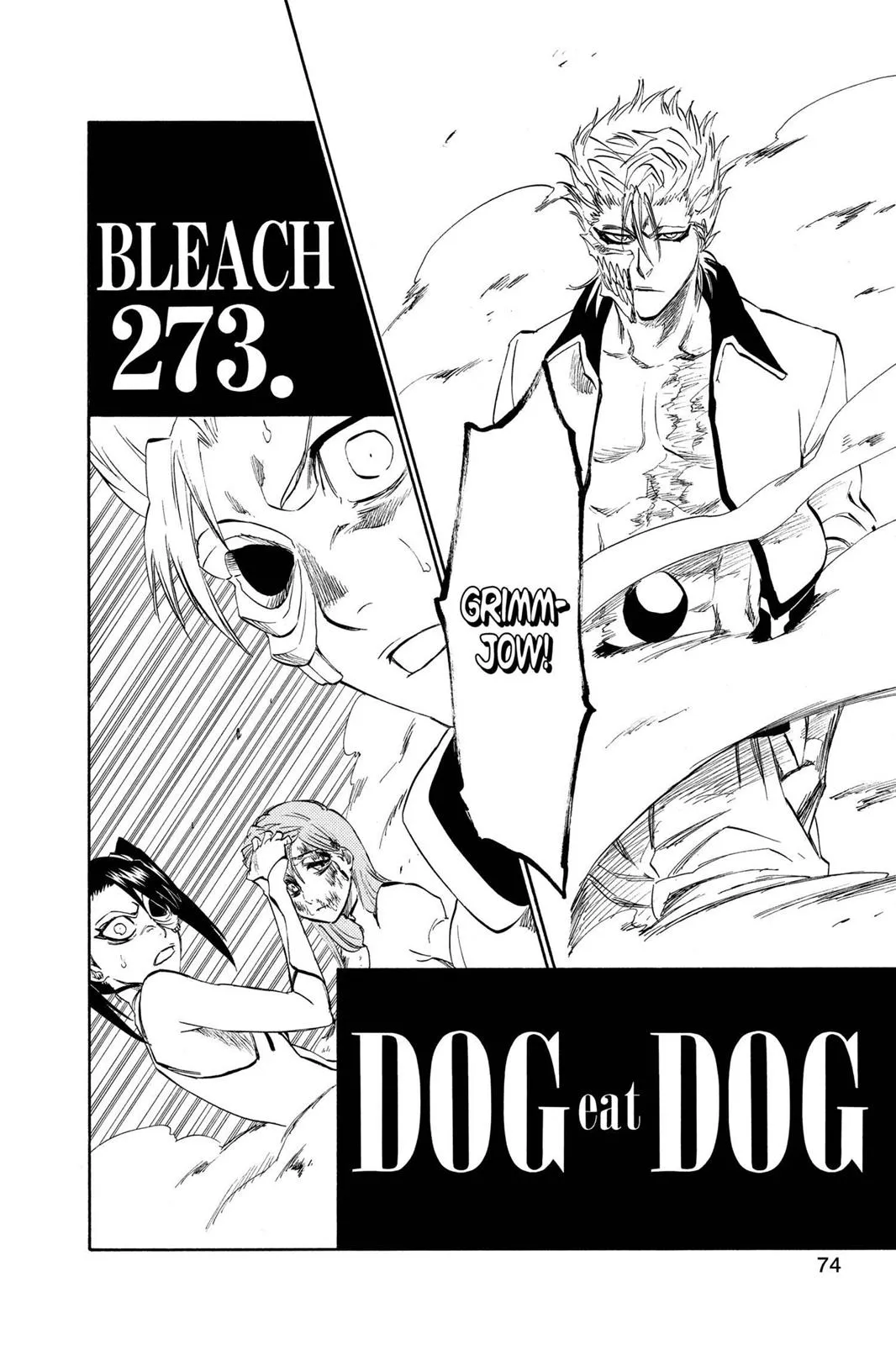 Read Bleach Manga Online