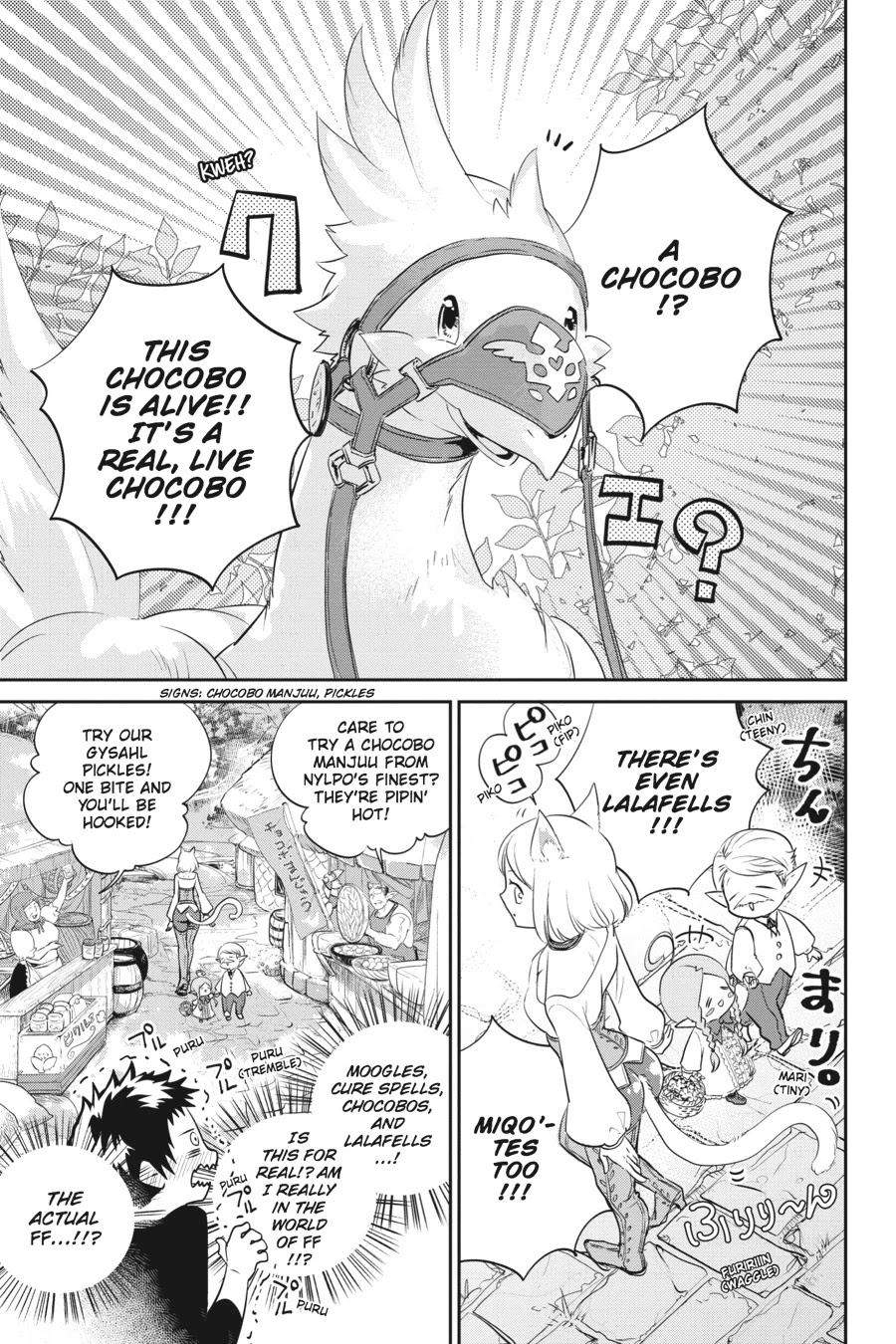 Read Final Fantasy  Lost Stranger Manga Online