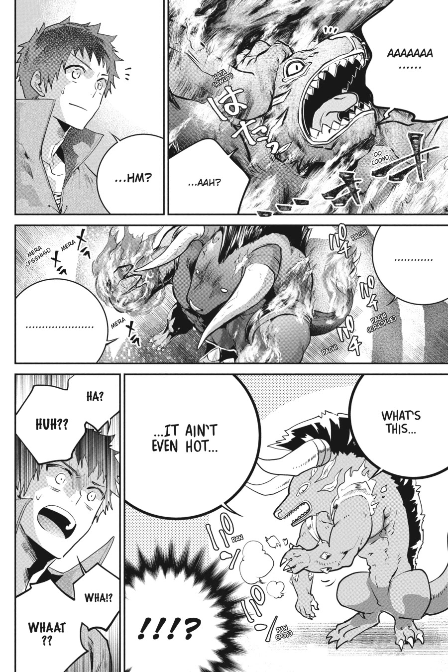 Read Final Fantasy  Lost Stranger Manga Online