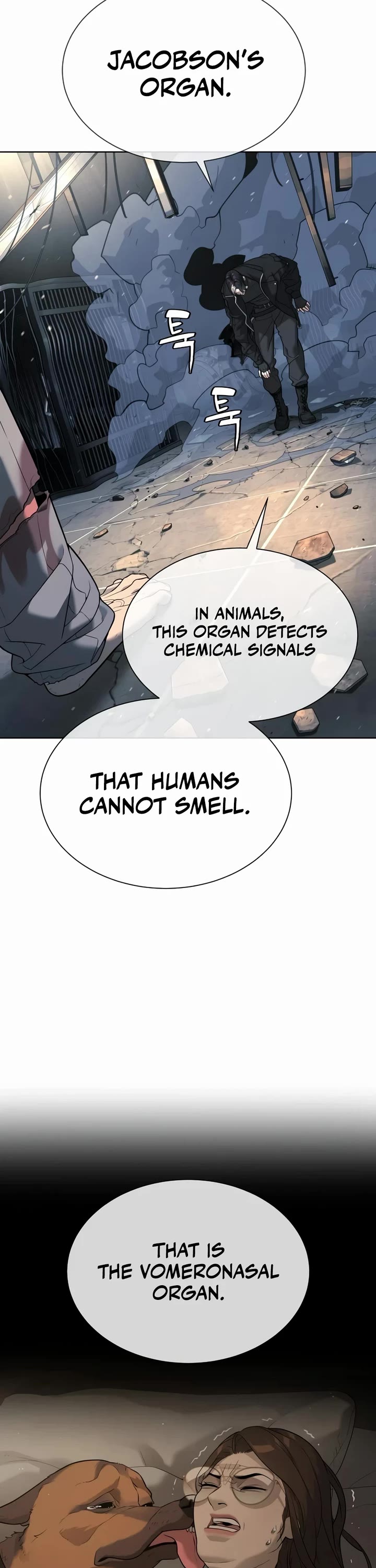 Read Killer Pietro Manga Online