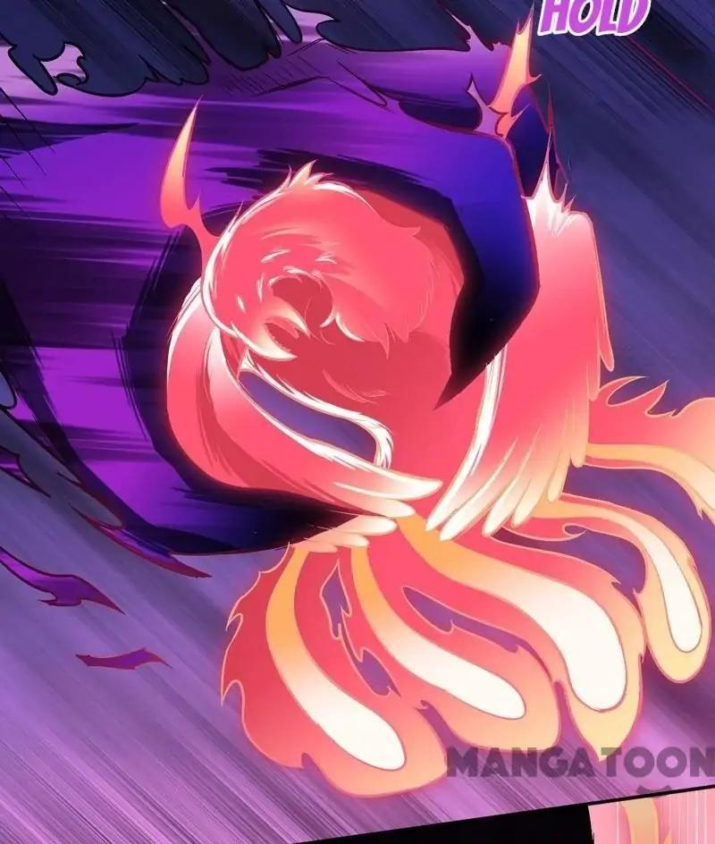 Read Martial Arts Reigns Manga Online