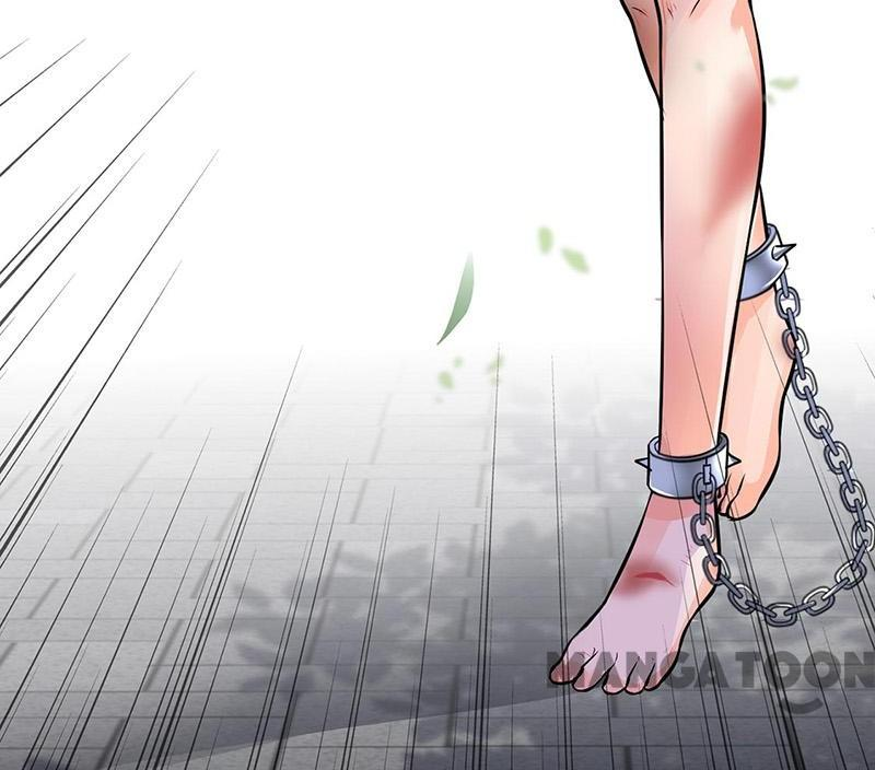Read Martial Arts Reigns Manga Online