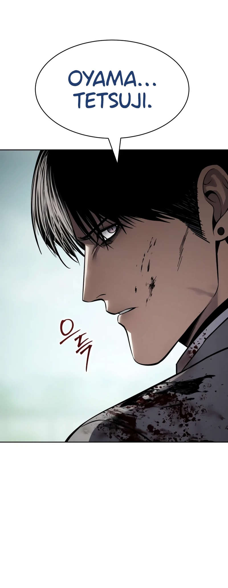 Read Mr. Baek Manga Online