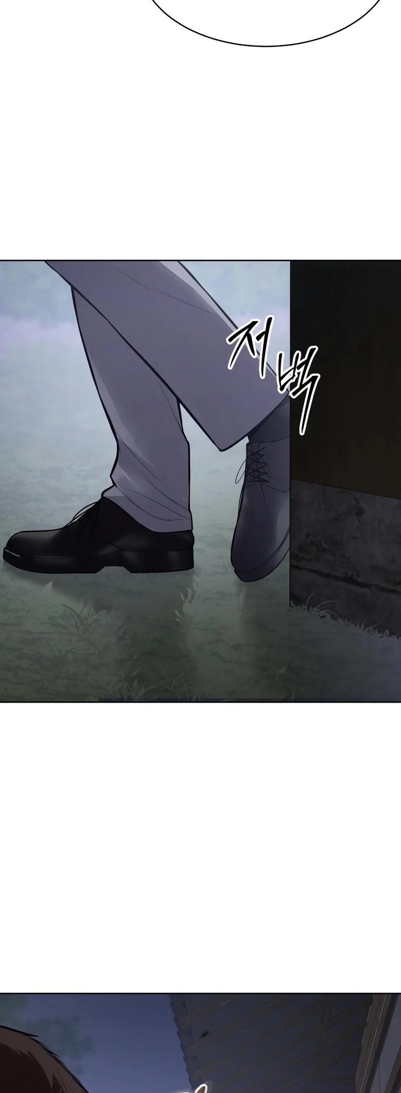 Read Mr. Baek Manga Online