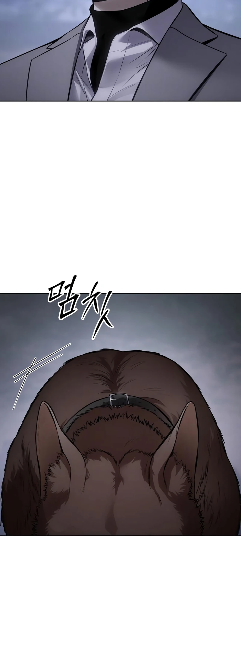 Read Mr. Baek Manga Online