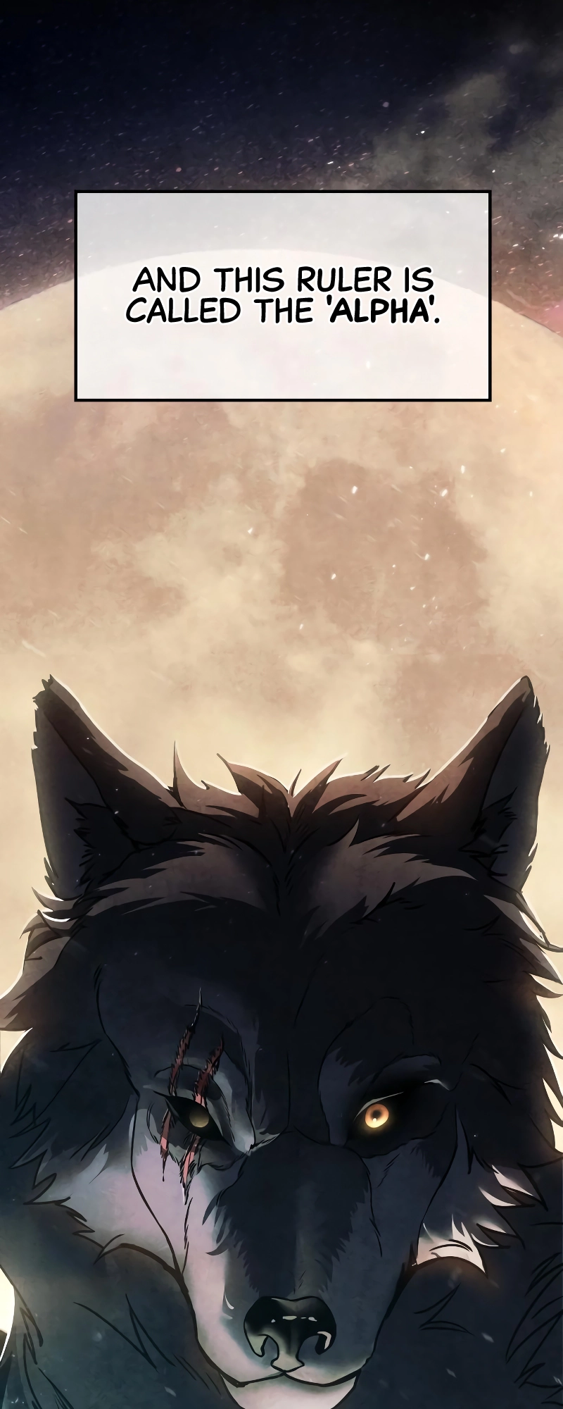 Read Mr. Baek Manga Online