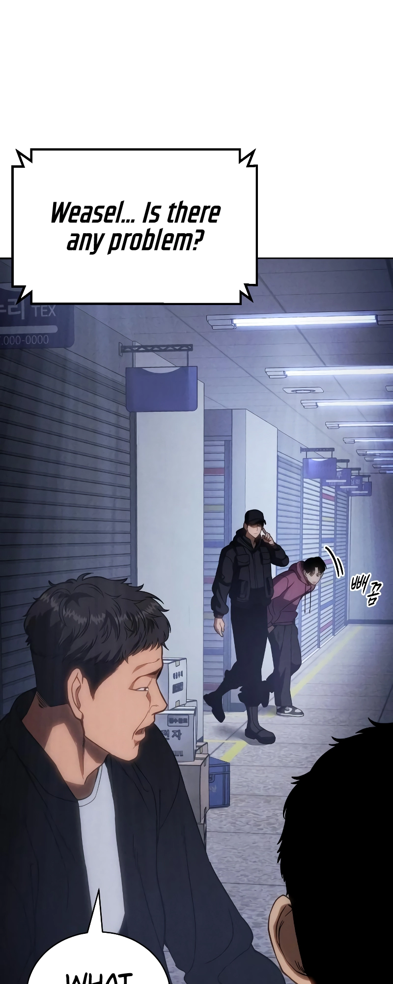 Read Mr. Baek Manga Online