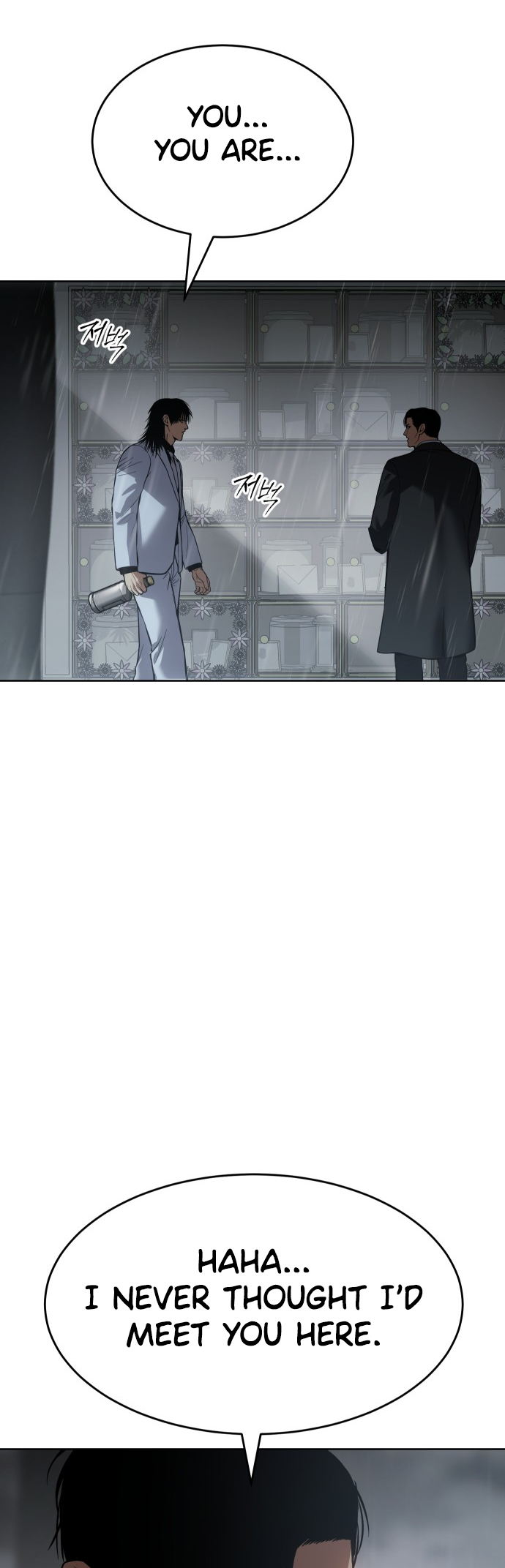Read Mr. Baek Manga Online