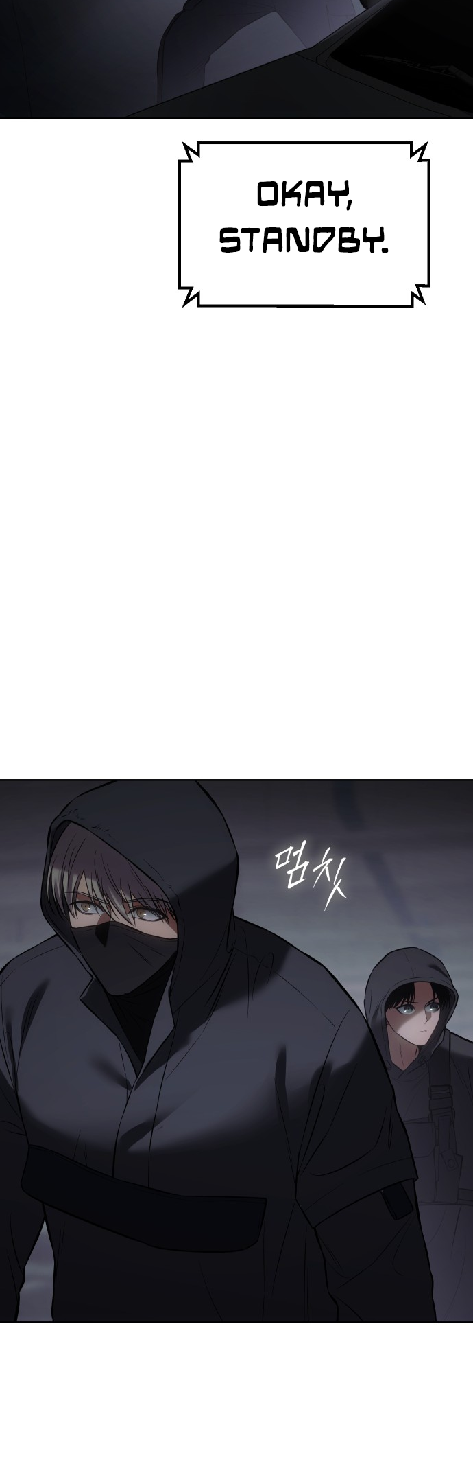 Read Mr. Baek Manga Online