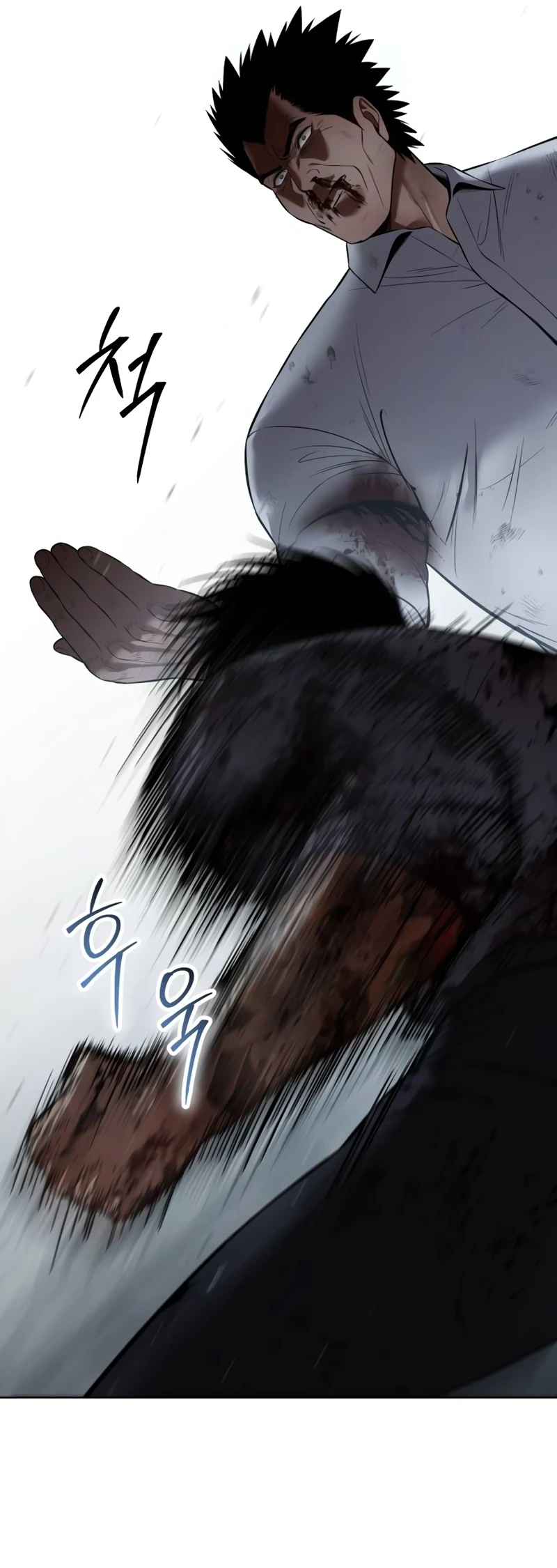 Read Mr. Baek Manga Online