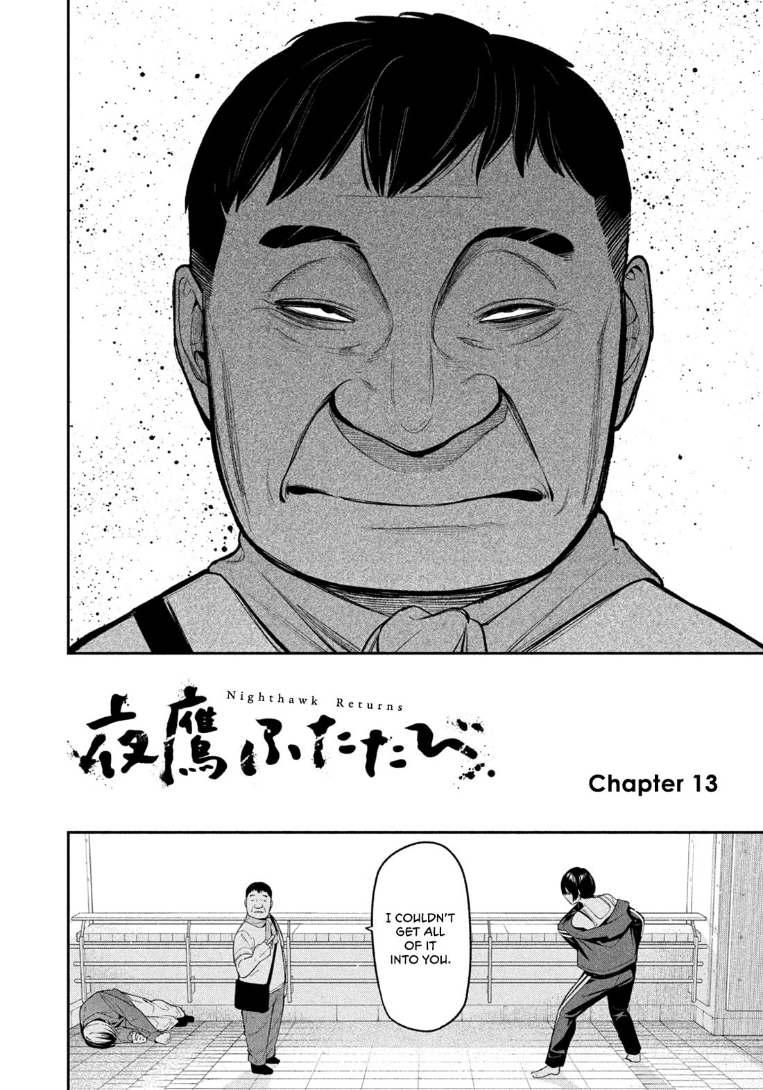 Read Nighthawk Returns Manga Online