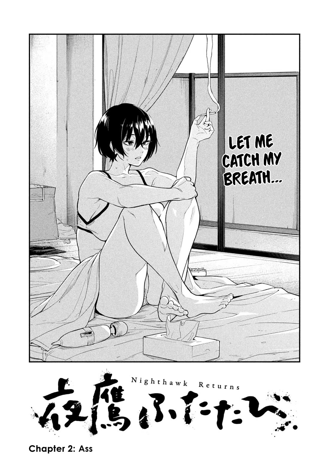 Read Nighthawk Returns Manga Online