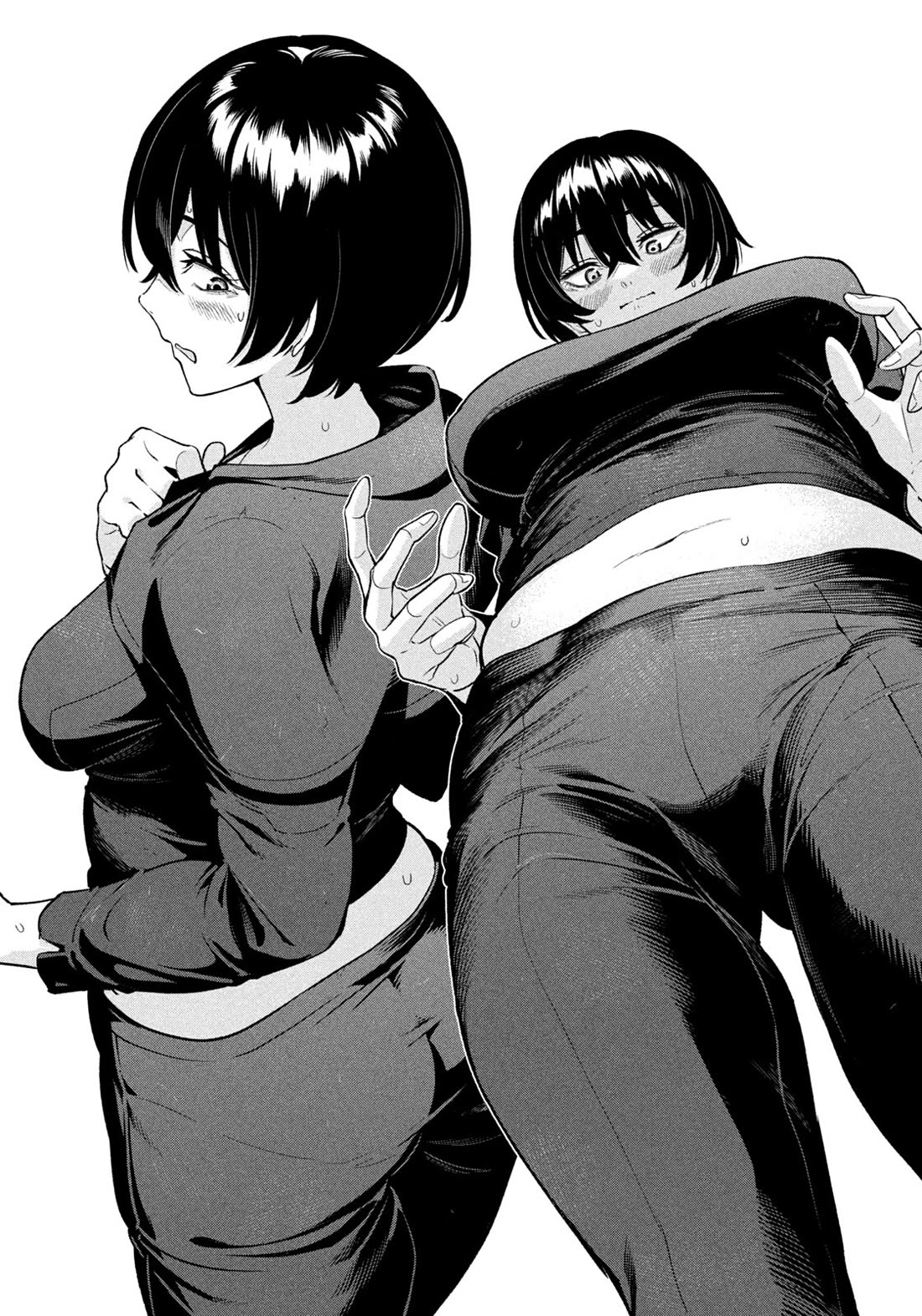 Read Nighthawk Returns Manga Online