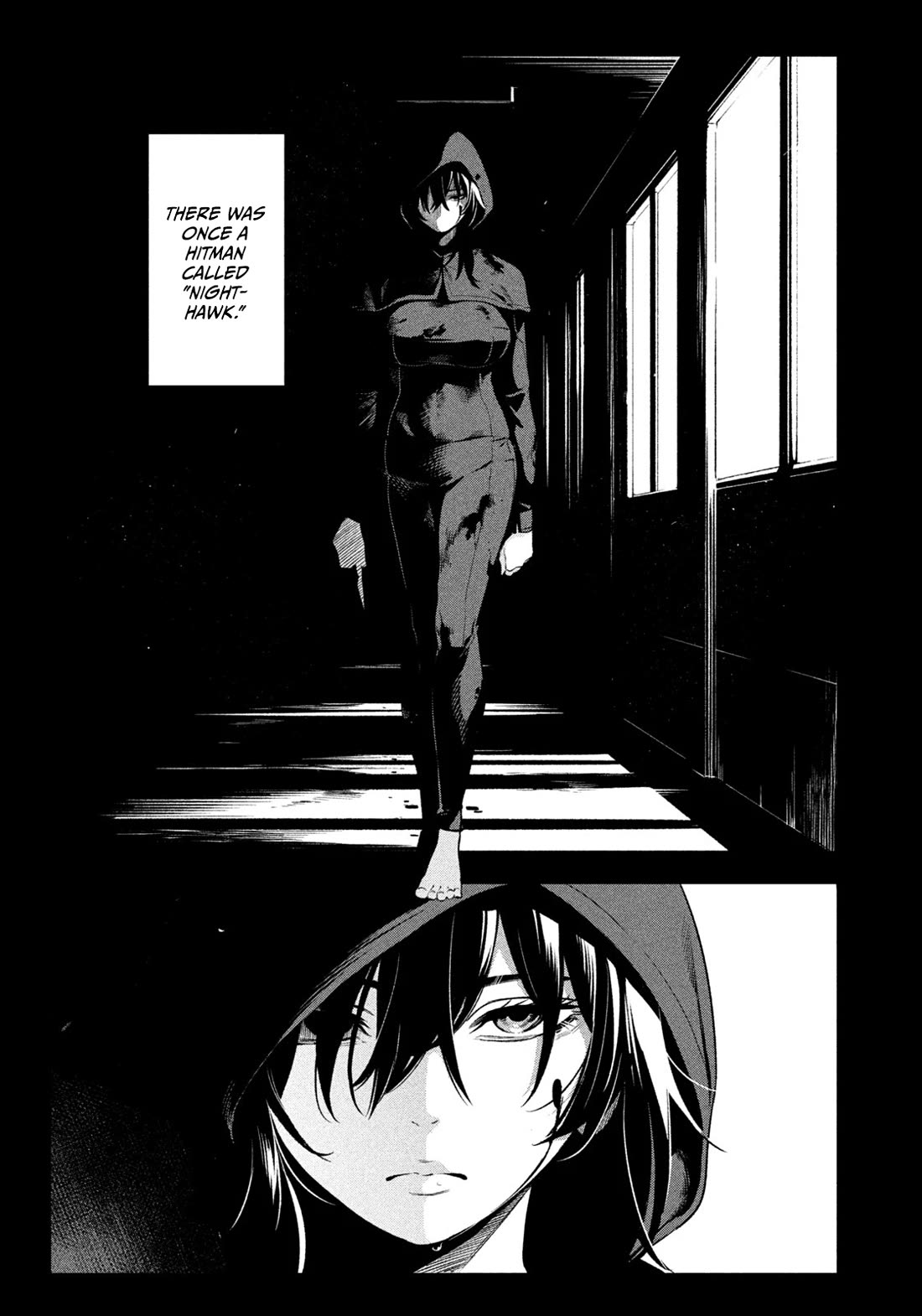Read Nighthawk Returns Manga Online