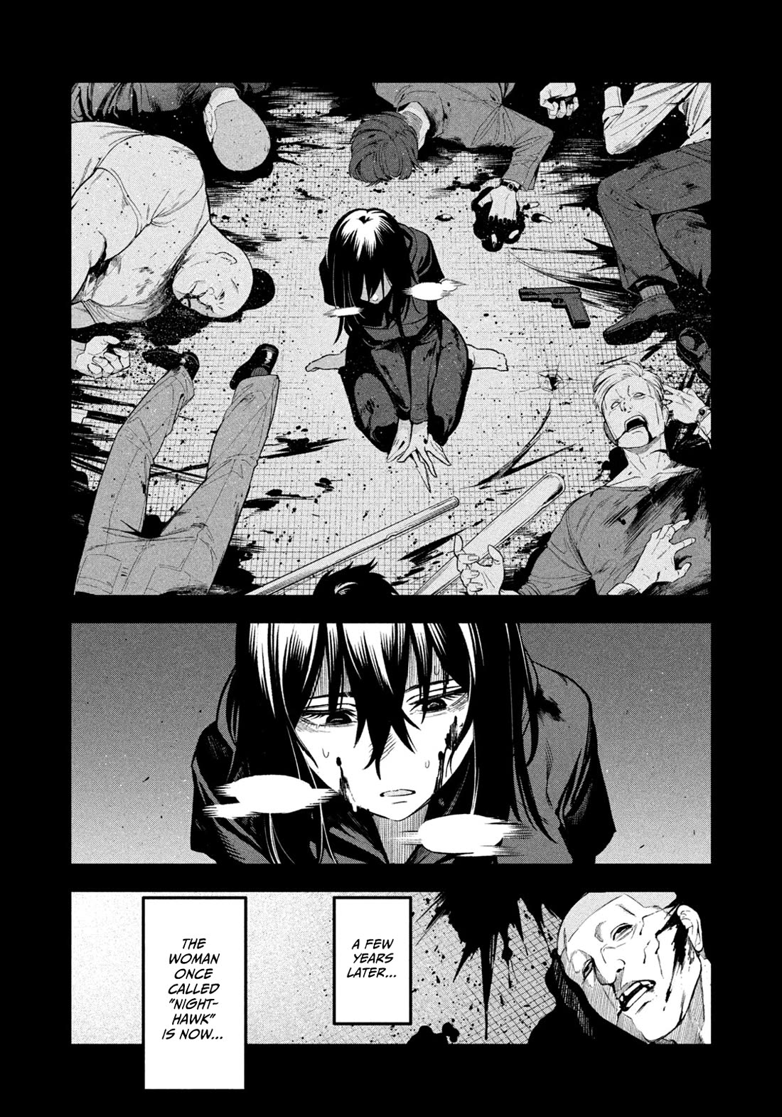 Read Nighthawk Returns Manga Online