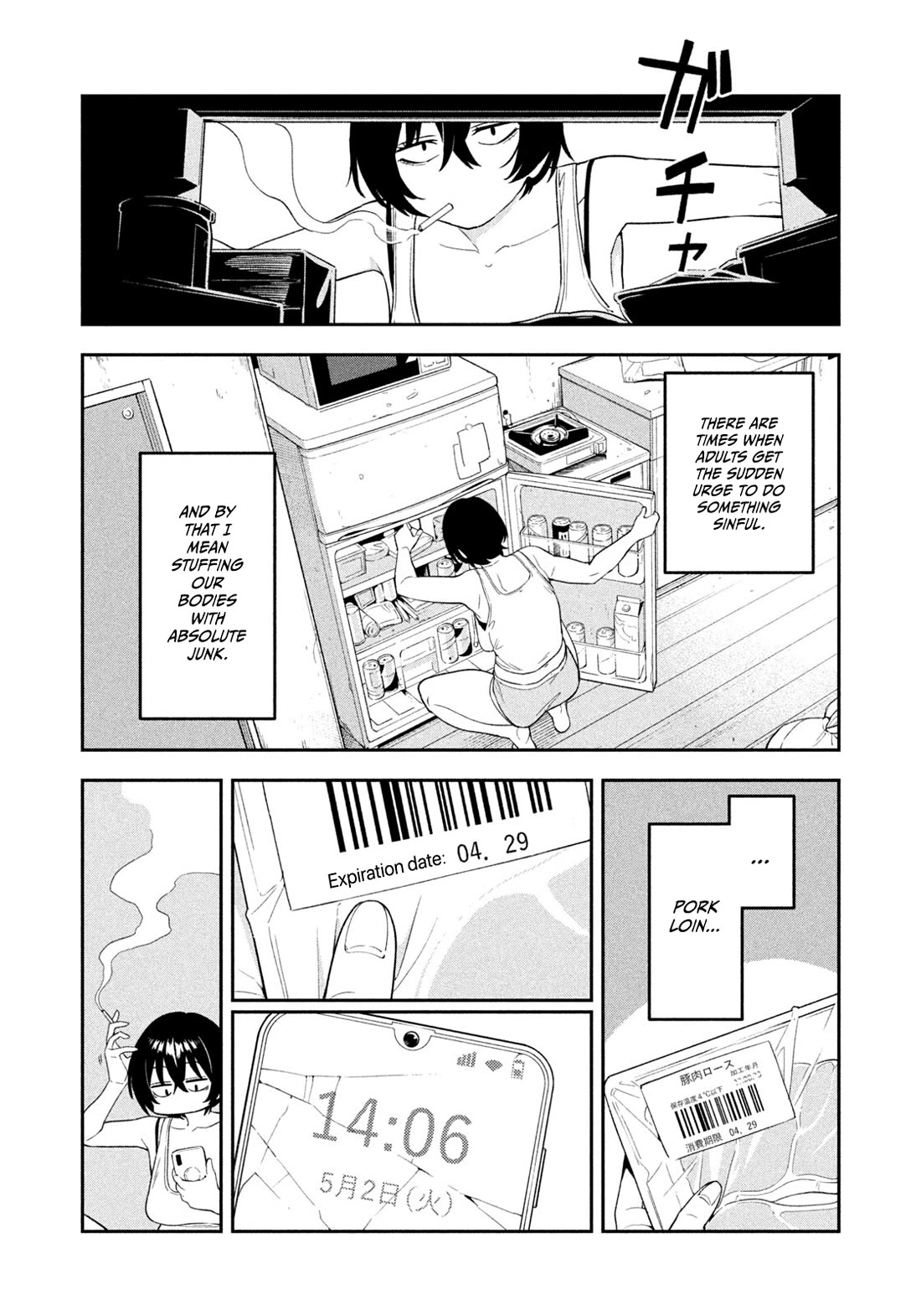 Read Nighthawk Returns Manga Online