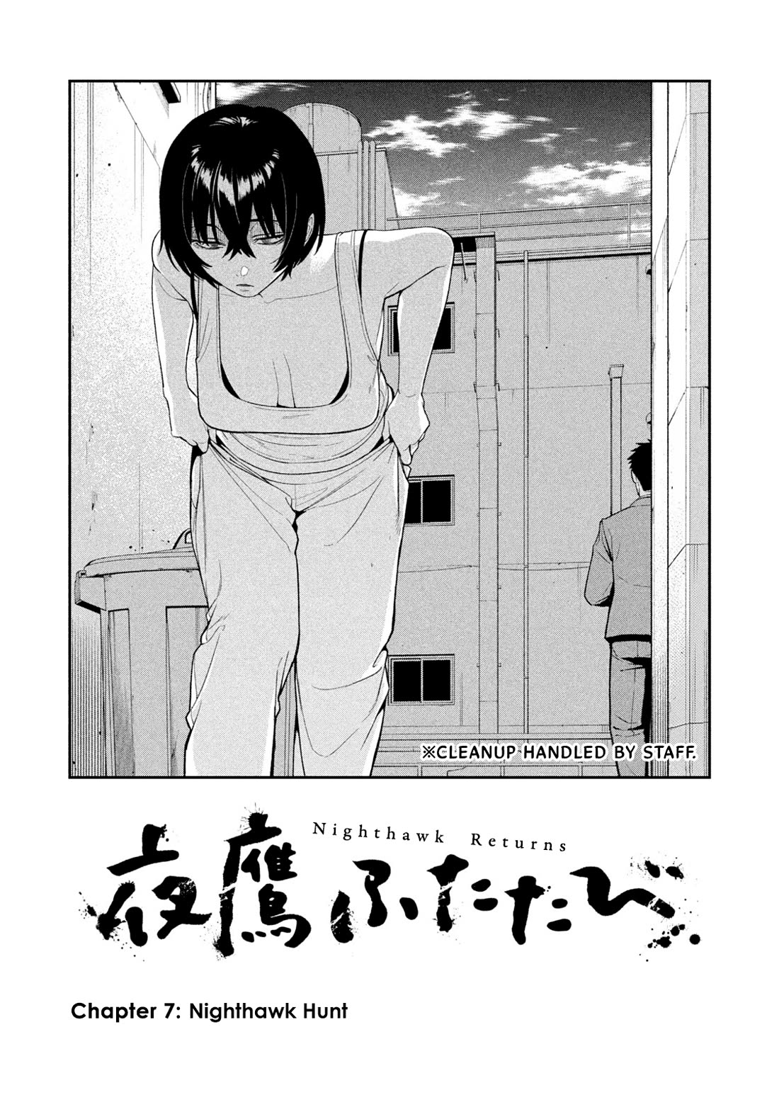 Read Nighthawk Returns Manga Online