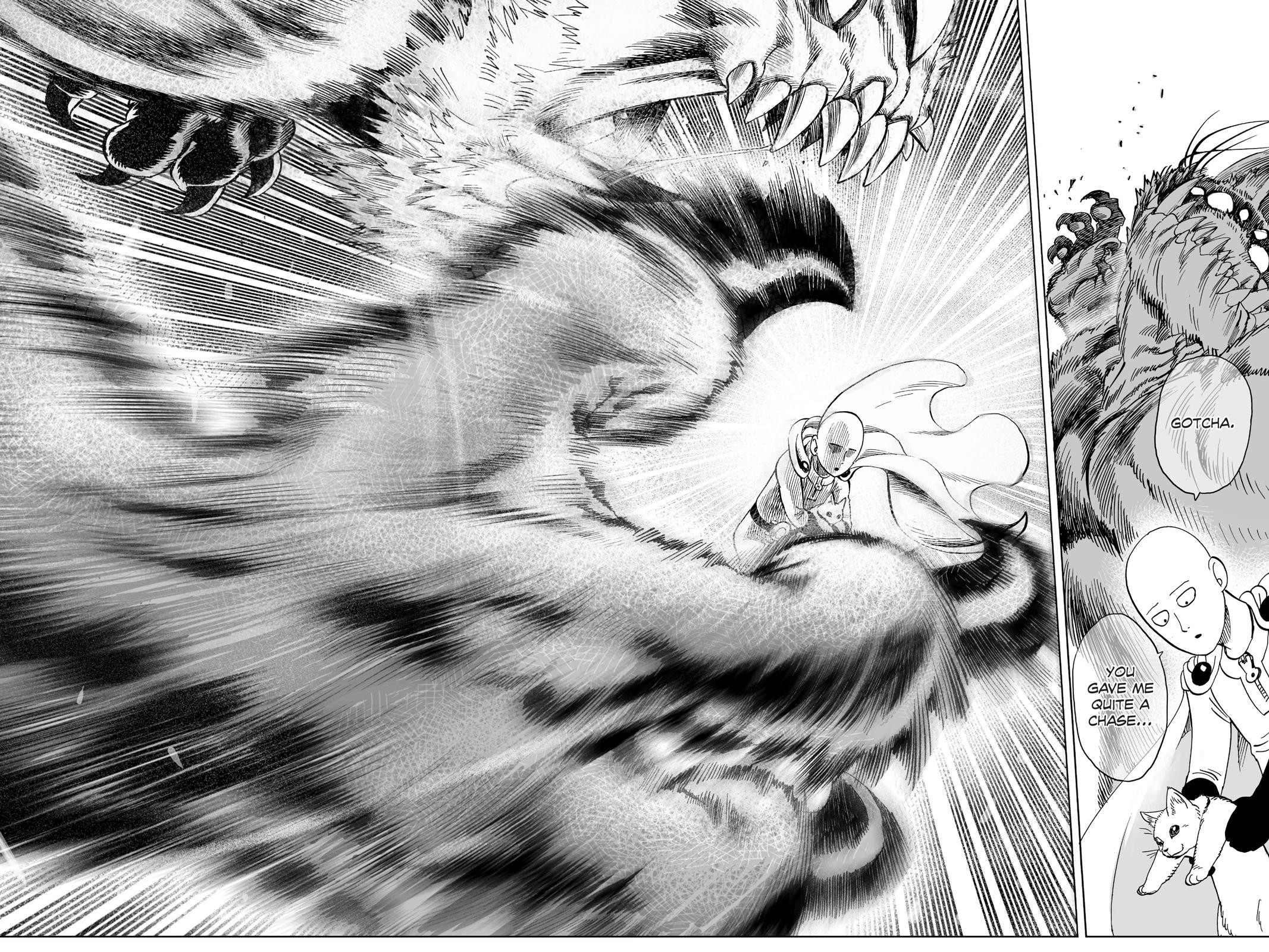 Read One Punch Man Manga Online