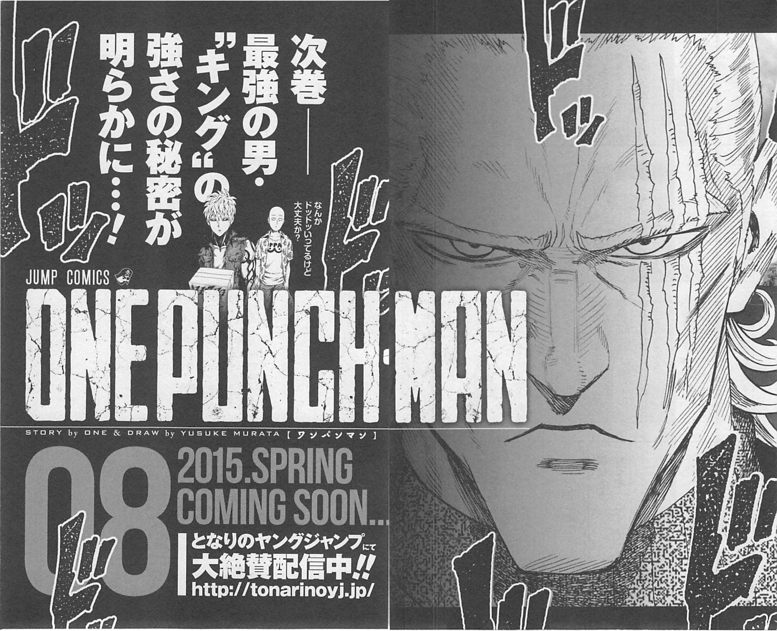 Read One Punch Man Manga Online