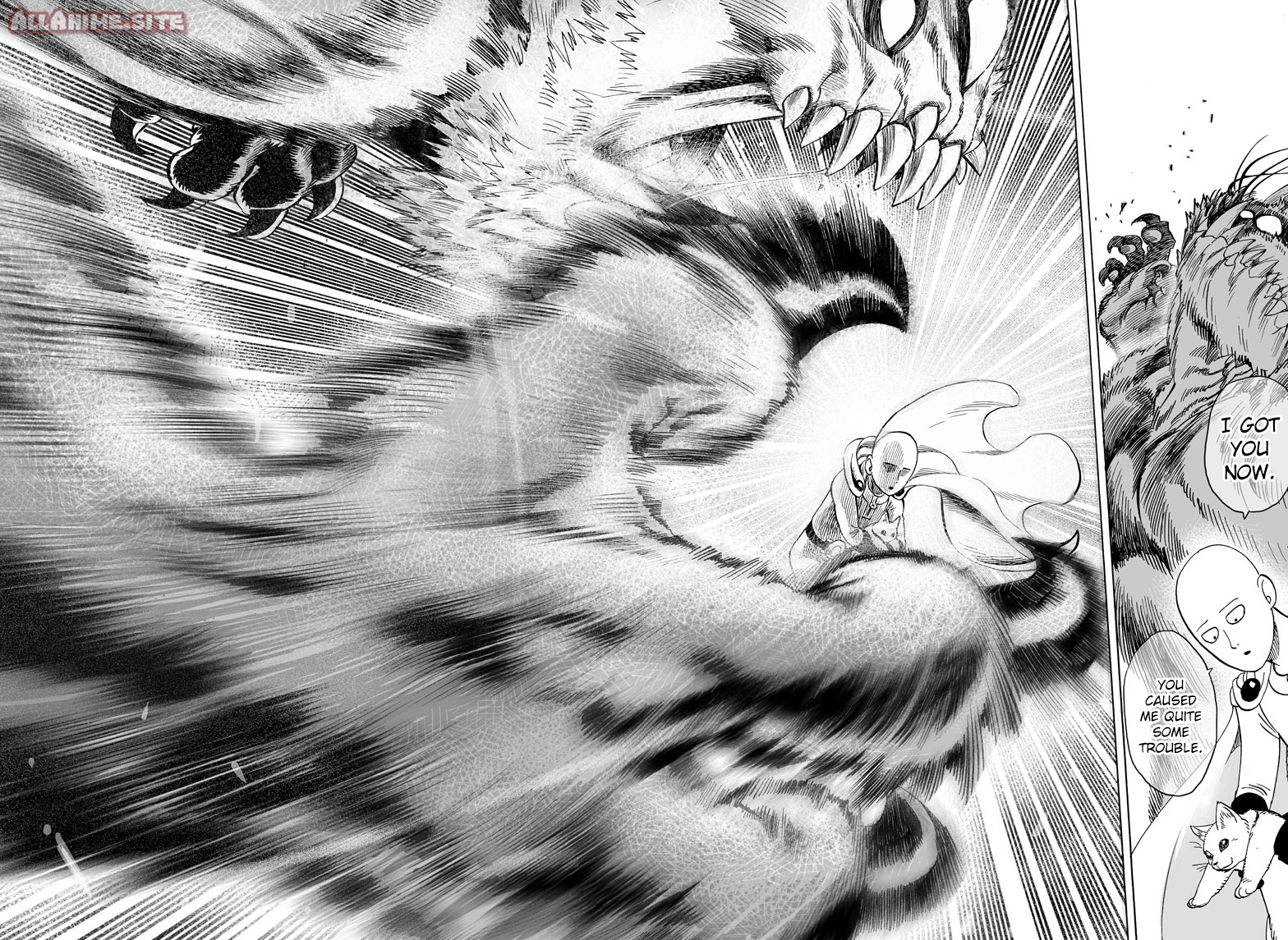 Read One Punch Man Manga Online