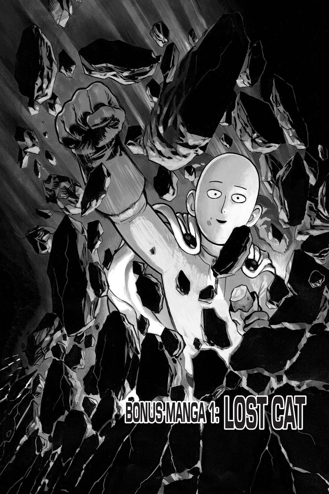 Read One Punch Man Manga Online