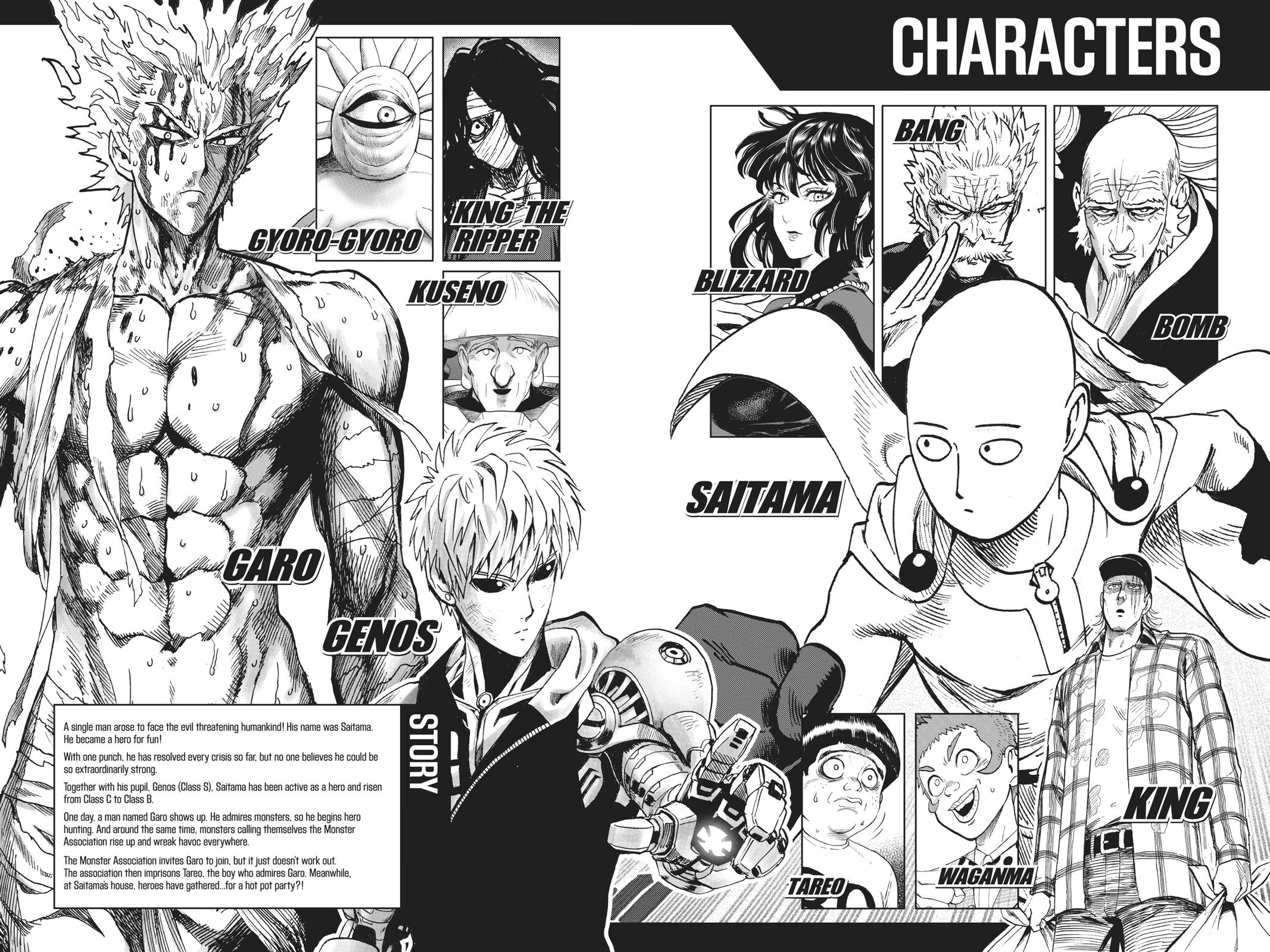 Read One Punch Man Manga Online