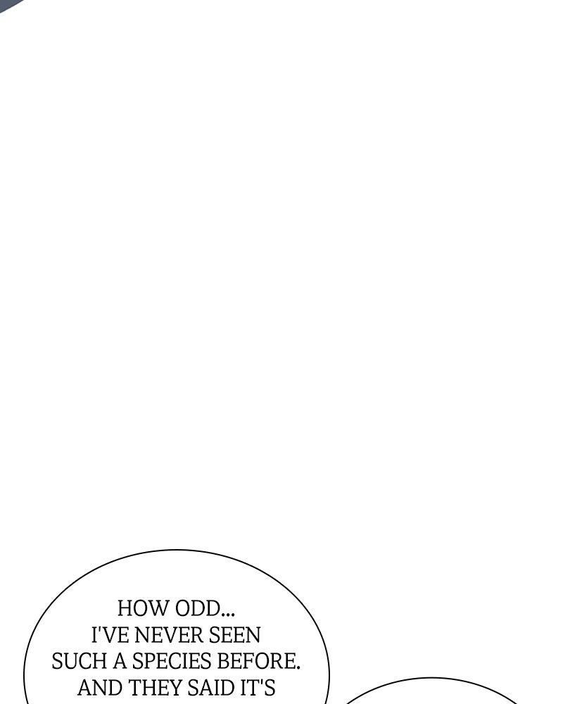Read One Step Closer to the Demon King Manga Online