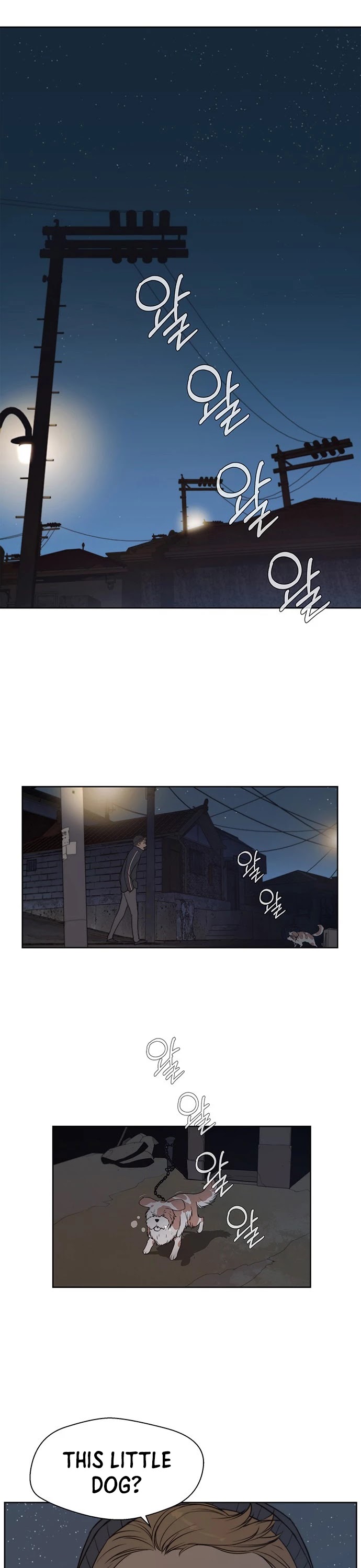 Read Real Man Manga Online