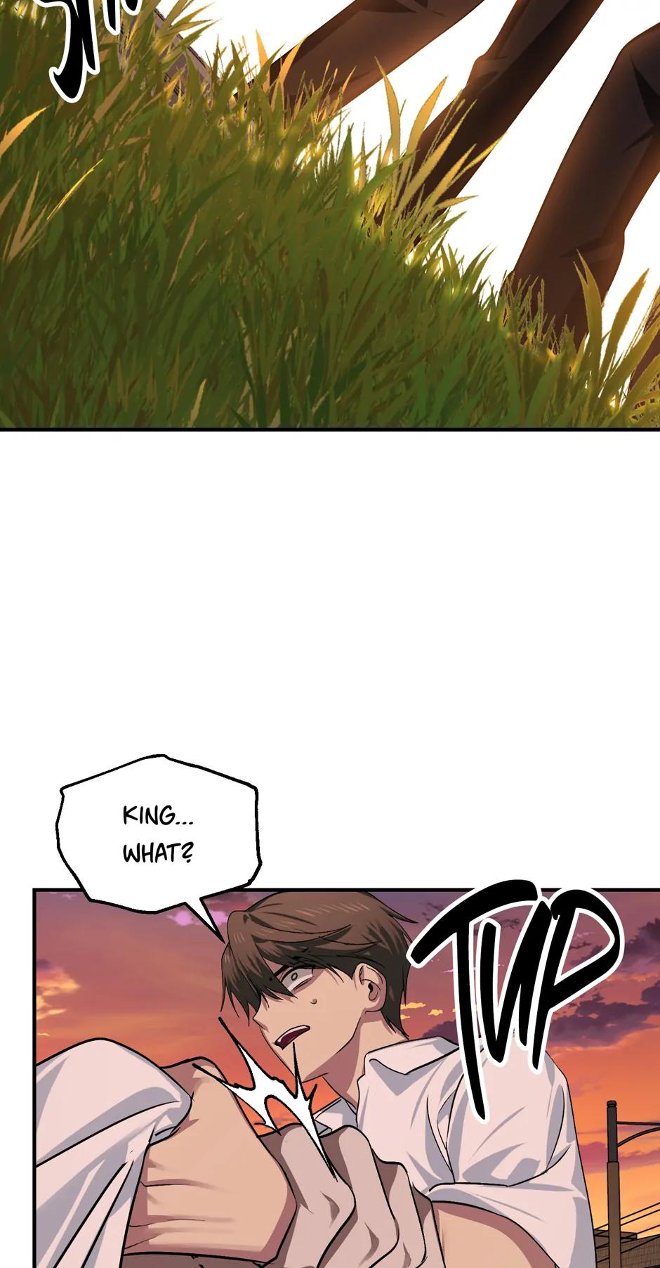 Read SSS Class Revival Hunter Manga Online