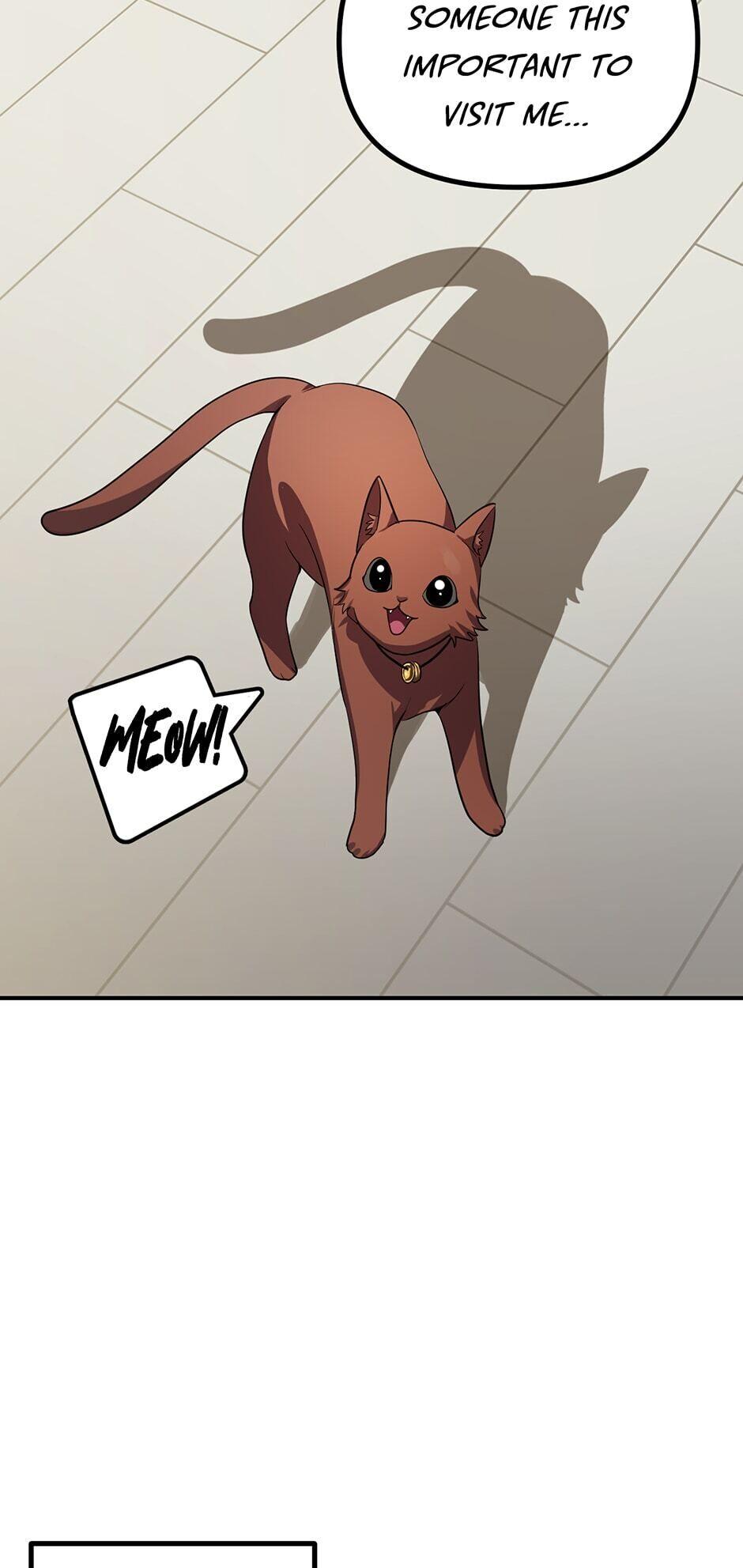 Read SSS Class Revival Hunter Manga Online