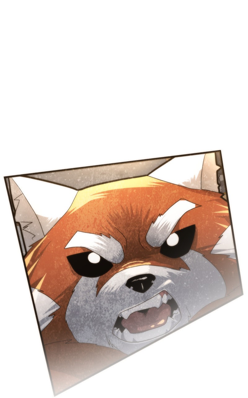 Read Samurai no Tora Manga Online