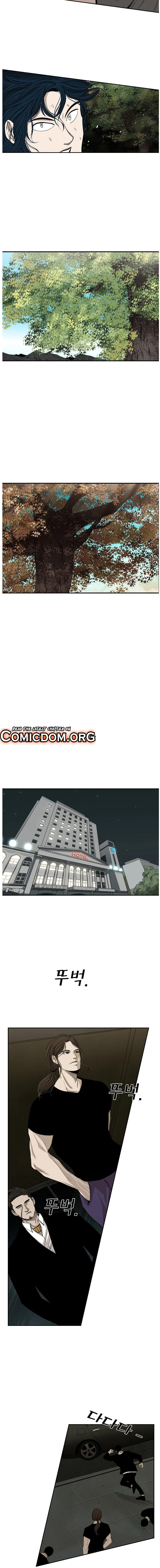 Read Shark Manga Online
